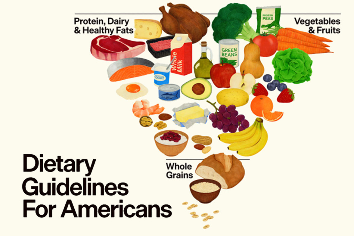Updated U.S. Dietary Guidelines pyramid prioritizing protein, dairy, healthy fats, vegetables, fruits, and limited whole grains from realfood.gov