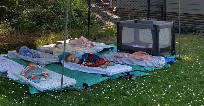 Why You Should Take More Naps: Science-Backed Benefits for Brain Health, Performance & Wellness