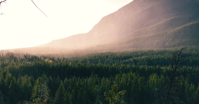 The Japanese Walking Hack Dave Asprey Loves: 30 Seconds Easy + 30 Seconds Brisk (6 Rounds = Better Than 10,000 Steps)