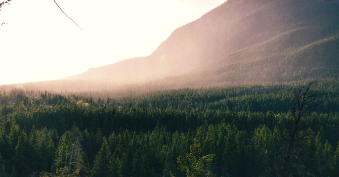 Research Summary: Manual Therapy for Non-Specific Neck Pain image